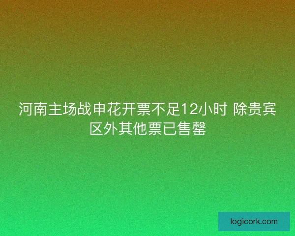 河南主场战申花开票不足12小时 除贵宾区外其他票已售罄